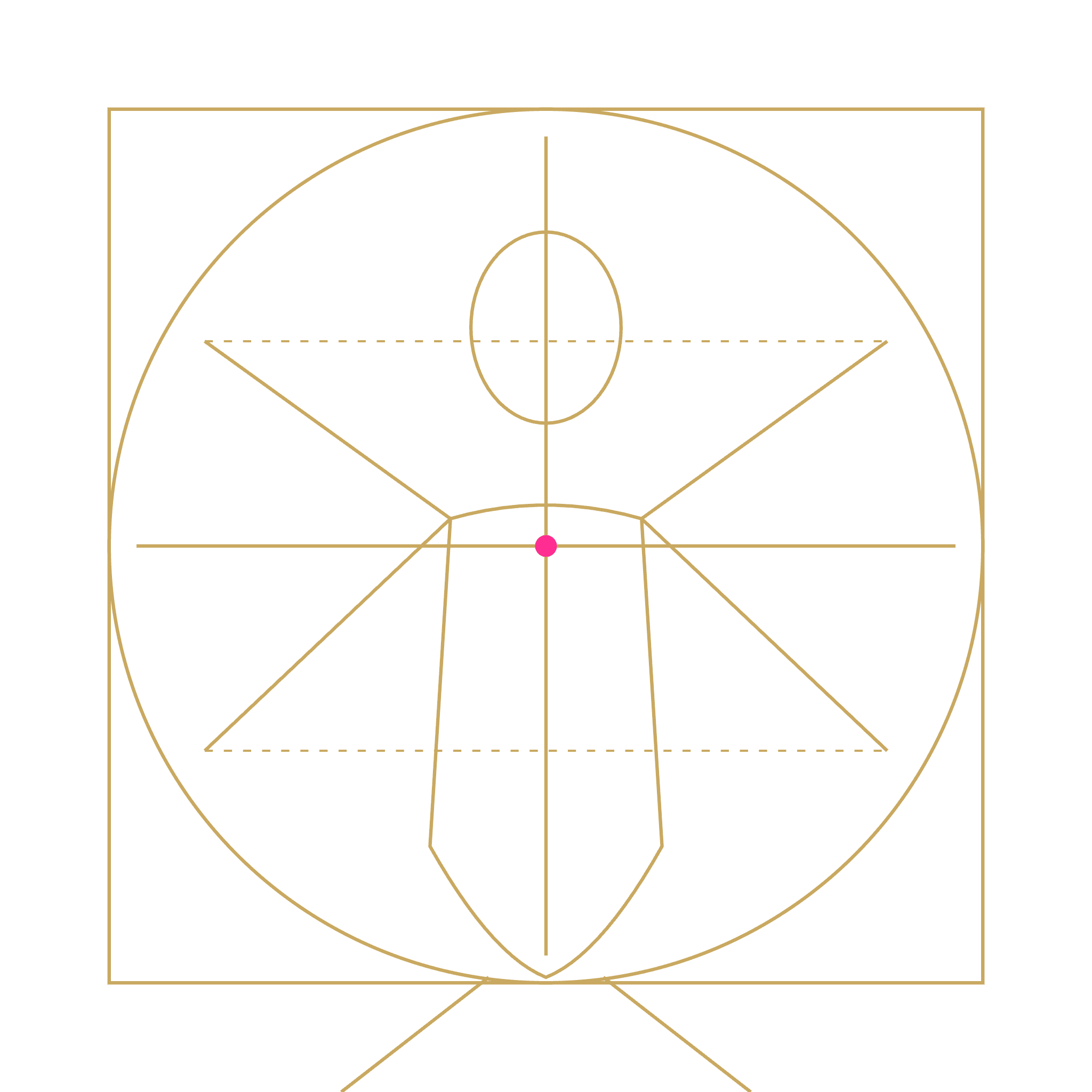 Selo Vitruviano Da Vinci