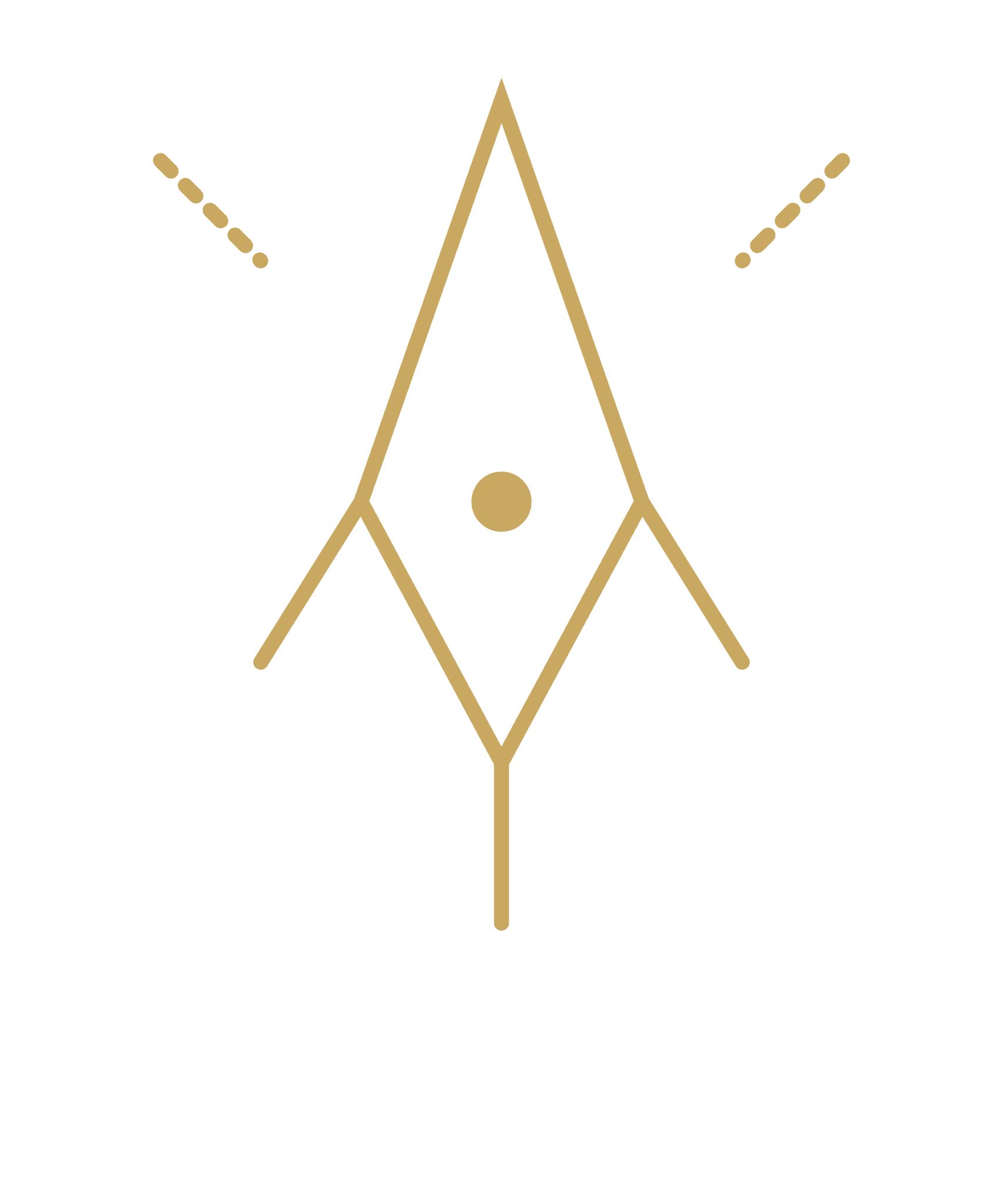 Laser & Tecnologias